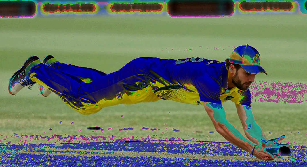 ক্রিকেটের ডেটা-খতিয়ান আর ব্লকচেইনের প্রতিশ্রুতি: অপরিবর্তনীয়তা মানেই নির্ভুলতা নয়